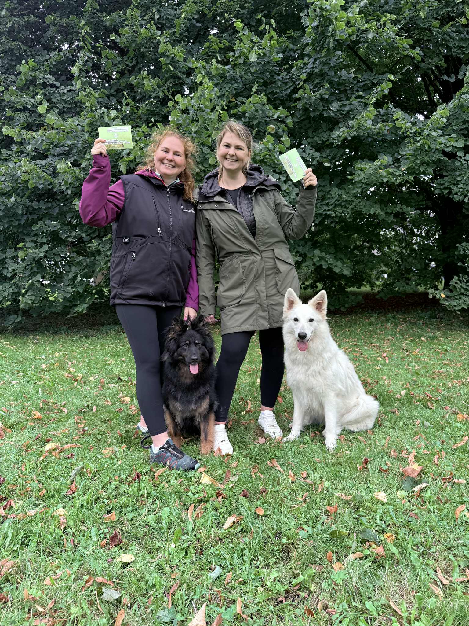 3f523f76 03e7 49c2 a311 ea738d1ed065