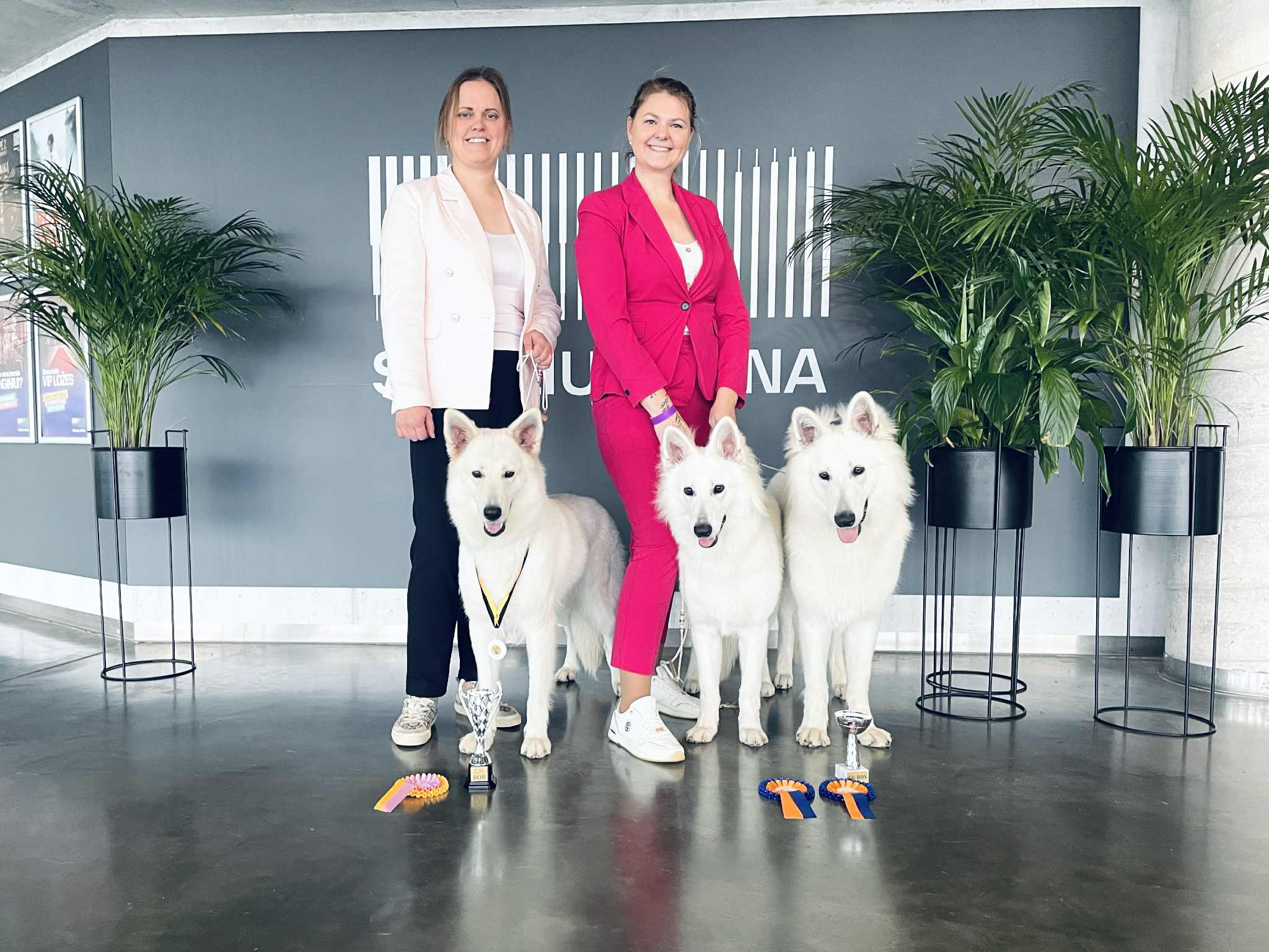 Estrellest White kasvandikud Leedu näitusel